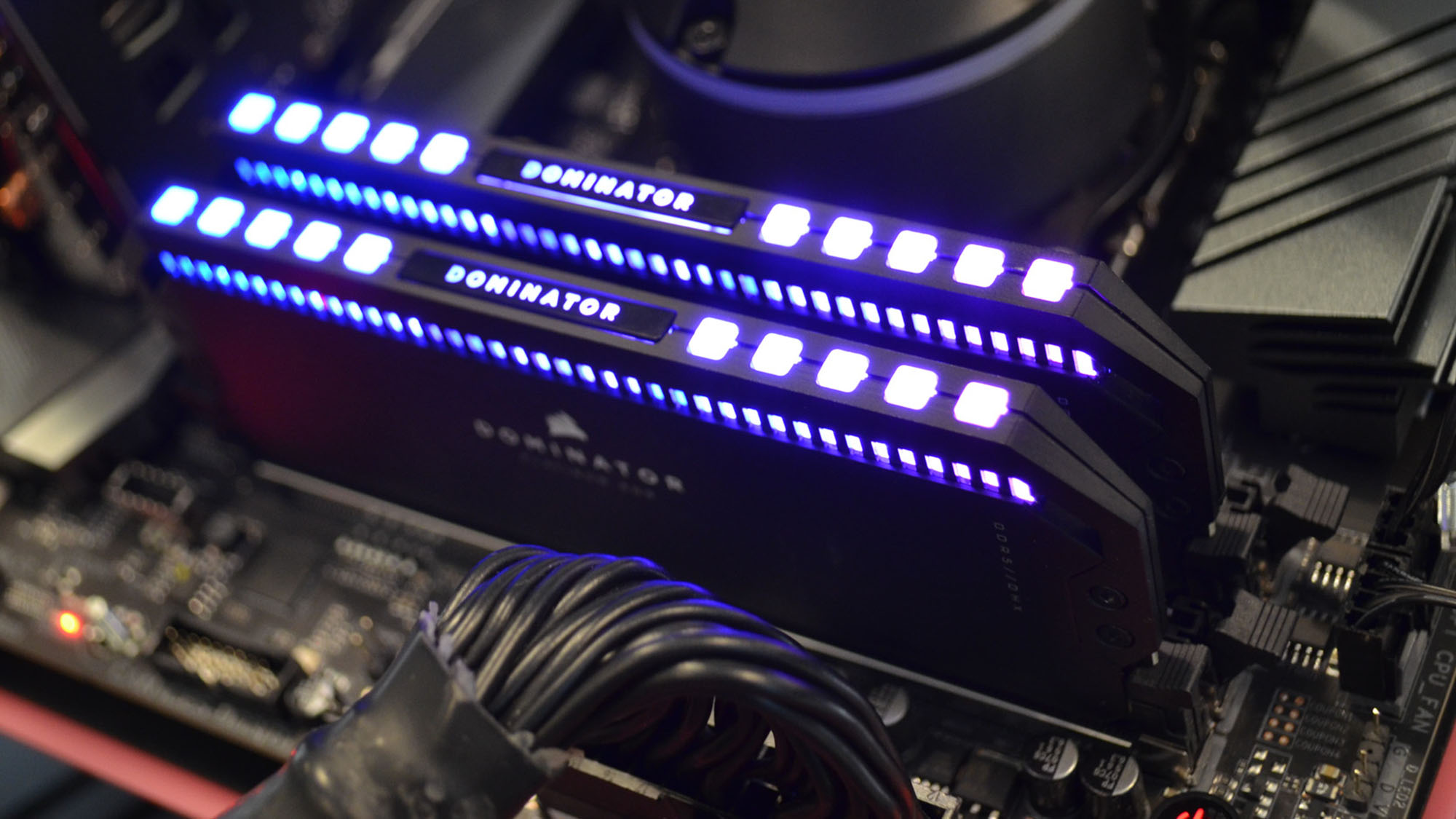 ram